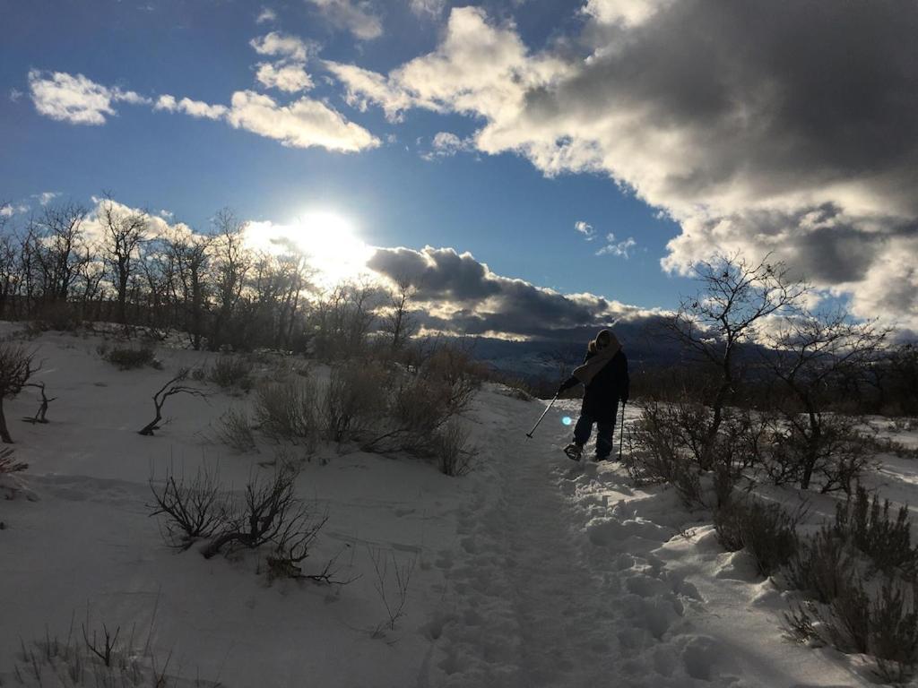 Stay & Play In The Little Switzerland Of Utah!!! Draper Extérieur photo