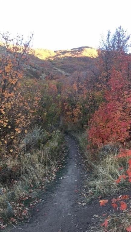 Stay & Play In The Little Switzerland Of Utah!!! Draper Extérieur photo